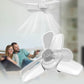 Household Ceiling Fan with Light and Remote Control