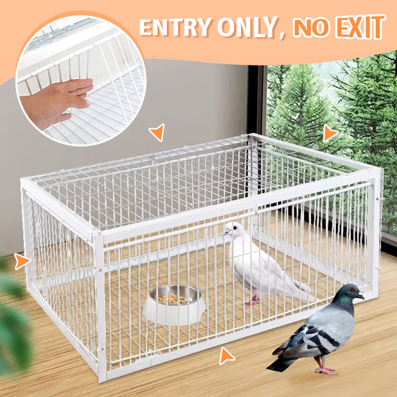 Auto Trap Humane Bird Cage – Roseionly