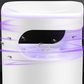 ⏳Time-limited Special🦟UV Fly Trap with Transparent Catch Box