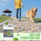 🔥 FLASH SALE 40% OFF 🔥 Quick-Drying Sticky Landscape Adhesive – Instant Hold, Zero Mess! 🌿✨