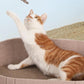 🐾40% OFF!🐱Multi-Functional Felt Cat Bed with Scratcher Pad💖