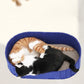 🐾40% OFF!🐱Multi-Functional Felt Cat Bed with Scratcher Pad💖