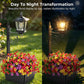 💐New arrival 40% OFF!🌿Wrought Iron Solar Light – Retro Style & All-Weather