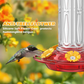 🐦New arrival 40% OFF!☀️Hanging Hummingbird Feeder with Ant Moat