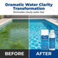 🏊‍♀️Summer Party Sale: 40% Off!🏖️Swimming Pool Purifying Liquid—Removes Green Algae and Sludge☀️