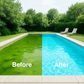 🏊‍♀️Summer Party Sale: 40% Off!🏖️Swimming Pool Purifying Liquid—Removes Green Algae and Sludge☀️