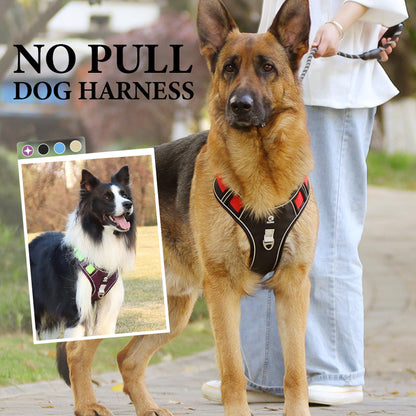 🐕🏃No-Pull Padded Dog Harness Kit | Front D-Ring to Redirect Pull Force🐾