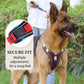🐕🏃No-Pull Padded Dog Harness Kit | Front D-Ring to Redirect Pull Force🐾