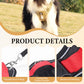 🐕🏃No-Pull Padded Dog Harness Kit | Front D-Ring to Redirect Pull Force🐾