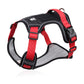 🐕🏃No-Pull Padded Dog Harness Kit | Front D-Ring to Redirect Pull Force🐾