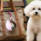 🐶🥣2-in-1 Portable Dog Water Bottle for Small Dogs - Leak-Proof & Compact