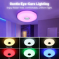 🌈New arrival 40% OFF!🎶Smart LED Music Ceiling Light with Bluetooth Speaker