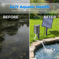 ☀️50% OFF NOW!⚡Solar Pond Aerator with Air Pump