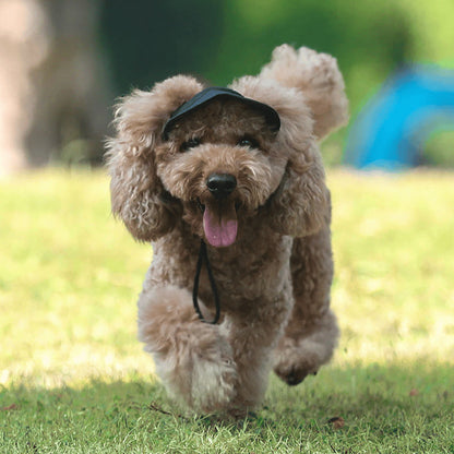 🧢 50% OFF NOW! ☀️ Dog Sun Hat with Wide Brim – UV protection & breathable – Adjustable strap, perfect for summer walks or beach trips – keeps your pet cool and safe 🐶🌊✨
