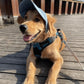🧢 50% OFF NOW! ☀️ Dog Sun Hat with Wide Brim – UV protection & breathable – Adjustable strap, perfect for summer walks or beach trips – keeps your pet cool and safe 🐶🌊✨
