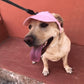 🧢 50% OFF NOW! ☀️ Dog Sun Hat with Wide Brim – UV protection & breathable – Adjustable strap, perfect for summer walks or beach trips – keeps your pet cool and safe 🐶🌊✨