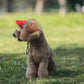 🧢 50% OFF NOW! ☀️ Dog Sun Hat with Wide Brim – UV protection & breathable – Adjustable strap, perfect for summer walks or beach trips – keeps your pet cool and safe 🐶🌊✨