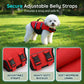 🐕🦺High Buoyancy Dog Life Jacket |  Keeps Head Above Water🌊