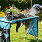 🐱🐶2-in-1 Foldable Pet Grooming Hammock & Stand🛋️