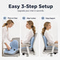 🪑💆Integrated Memory Foam Seat & Lumbar Cushion | Comfort for Long Hours at Your Desk