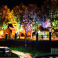 🌳💡Outdoor LED Ring Tree Landscape Light