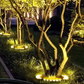 🌳💡Outdoor LED Ring Tree Landscape Light