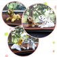 🐶🐕Cute Dog Bobblehead Car Dashboard Decoration