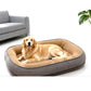 🛋️🐾All-Season Bolster-Style Pet Bed | Dual-Texture Fabric Provides Cozy Rest All Year Round🪑