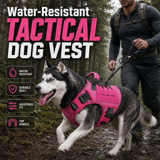🐕🦴Dog Hiking Harness with Top Handle | Better Walking Control for Active Dogs🎽