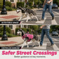 🐕🦴Dog Hiking Harness with Top Handle | Better Walking Control for Active Dogs🎽