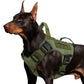 🐕🦴Dog Hiking Harness with Top Handle | Better Walking Control for Active Dogs🎽