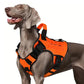 🐕🦴Dog Hiking Harness with Top Handle | Better Walking Control for Active Dogs🎽