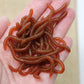 🎣🪱Scented Artificial Earthworm Lures | Ribbed Body Creates Lifelike Underwater Action