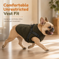 🐕❄️Fleece-Lined Dog Winter Jacket | Reflective Strips For Nighttime Safety🧥
