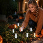 🌙🌱Solar-Powered Crystal-Bubble Pathway Stake Light  | Tool-Free Push-In Installation for Yard & Garden🏕️