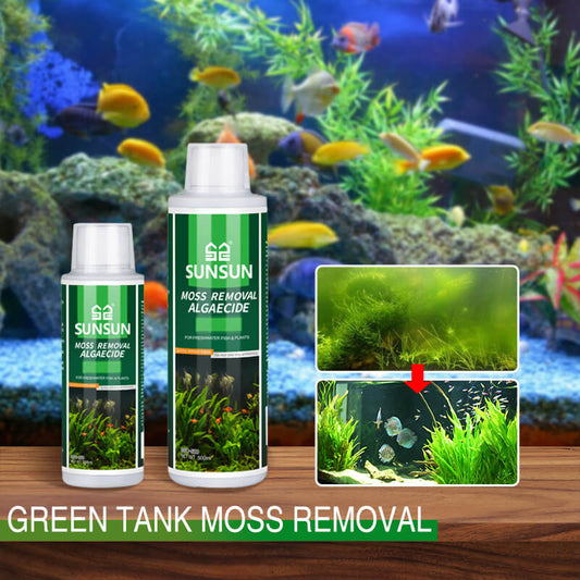 Moss Remover for Fish Tank